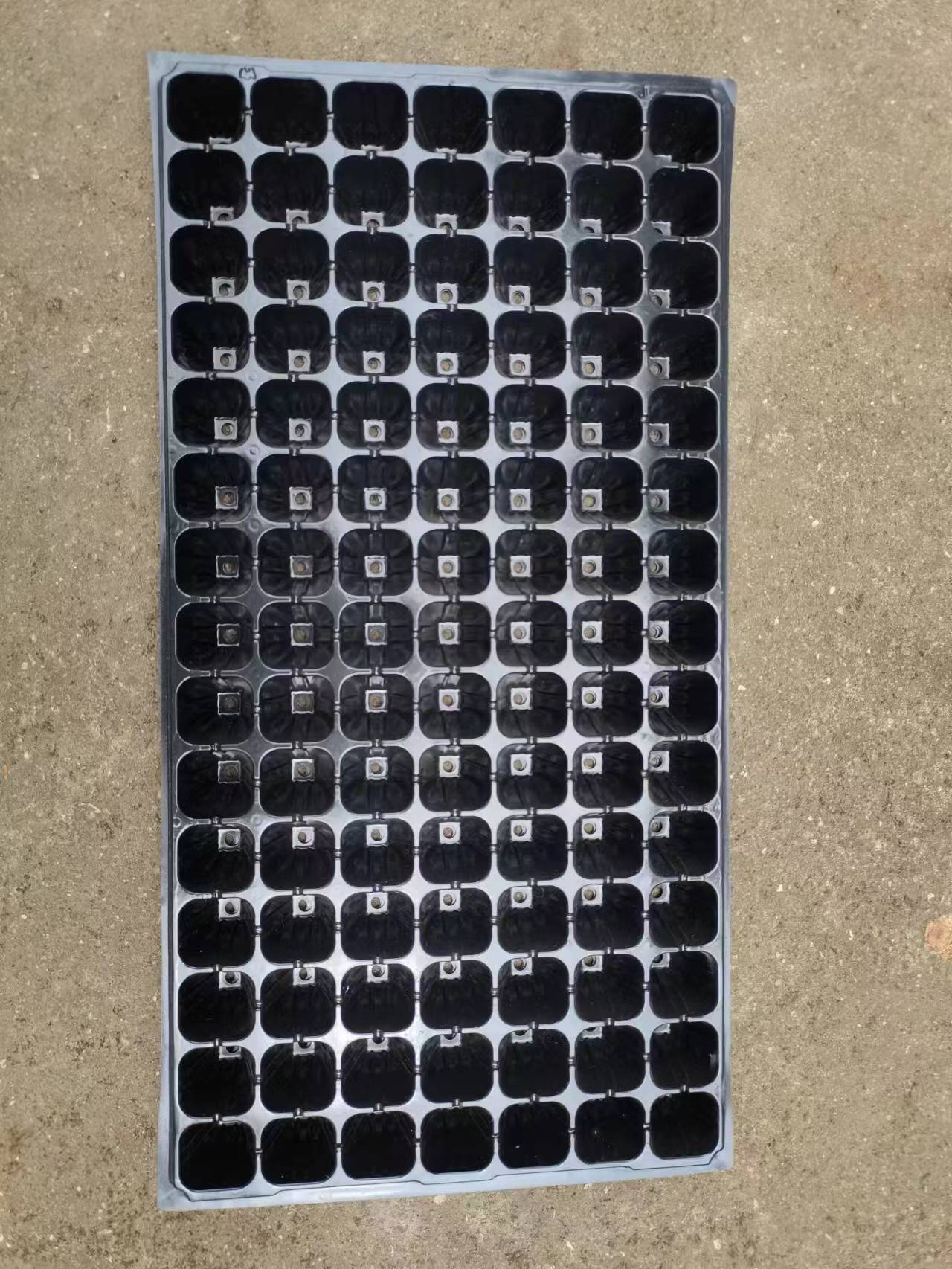 1653721669311397.jpg