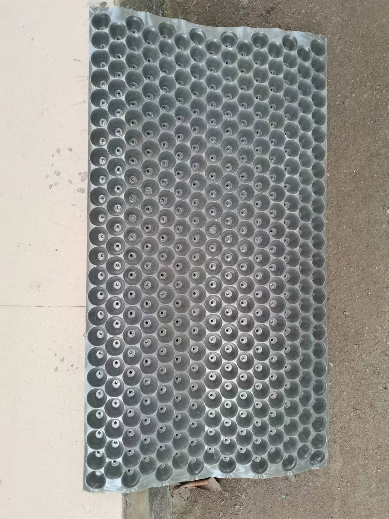 1653721783862908.jpg